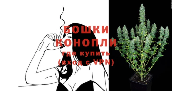 альфа пвп Медногорск