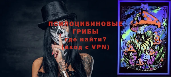 ПСИЛОЦИБИНОВЫЕ ГРИБЫ Одинцово