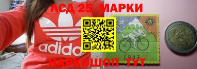 гашик Донецк